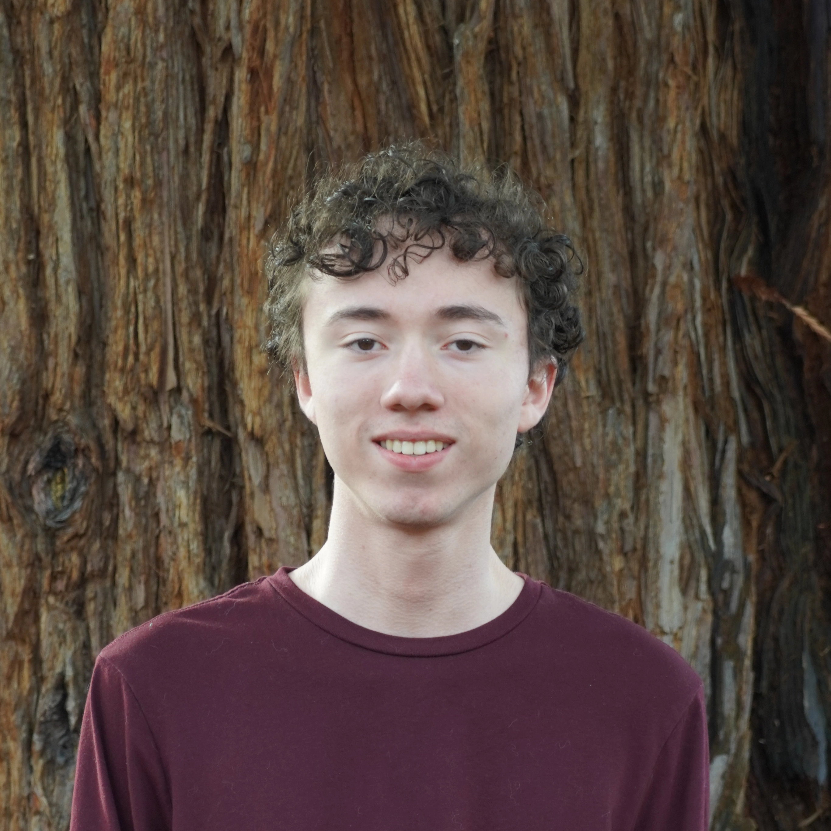 Leonidas Sallos, Online Officer